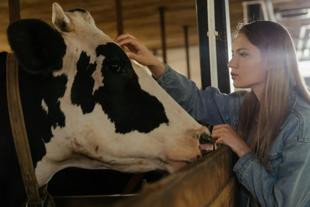 Bien Être Animal, Carnivore, Élevage Éthique, Carnivore Attitude