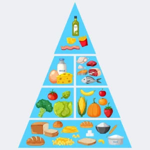 Pyramide Alimentaire Standard, Malbouffe, Hyperglucidique, Risque Cardiovasculaire, Haut En Glucides Et Pauvre En Graisse, Carnivoreattitude.com